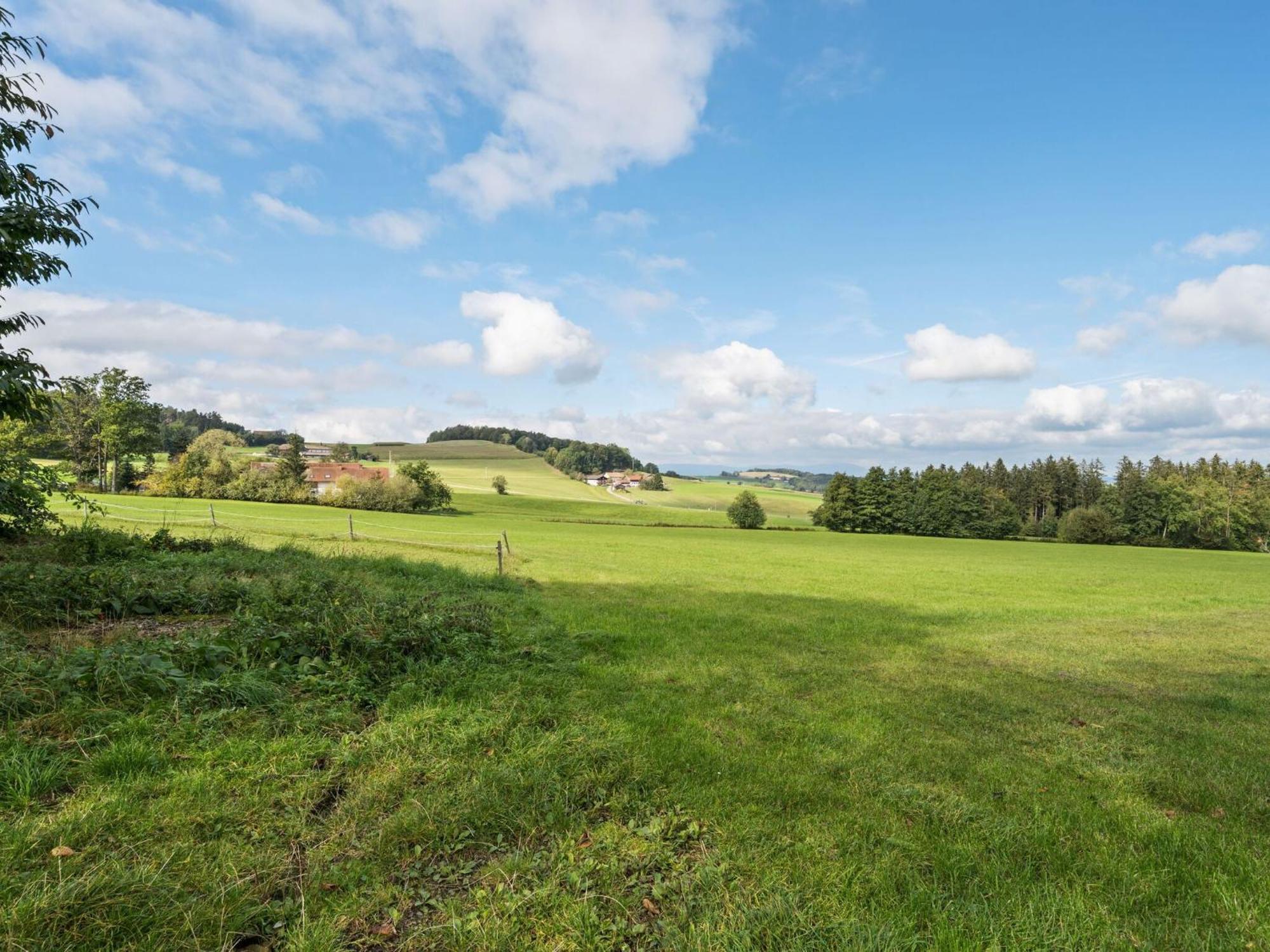 Flat On A Farm Near The Arber Ski Area 纽科琴贝海尔 外观 照片