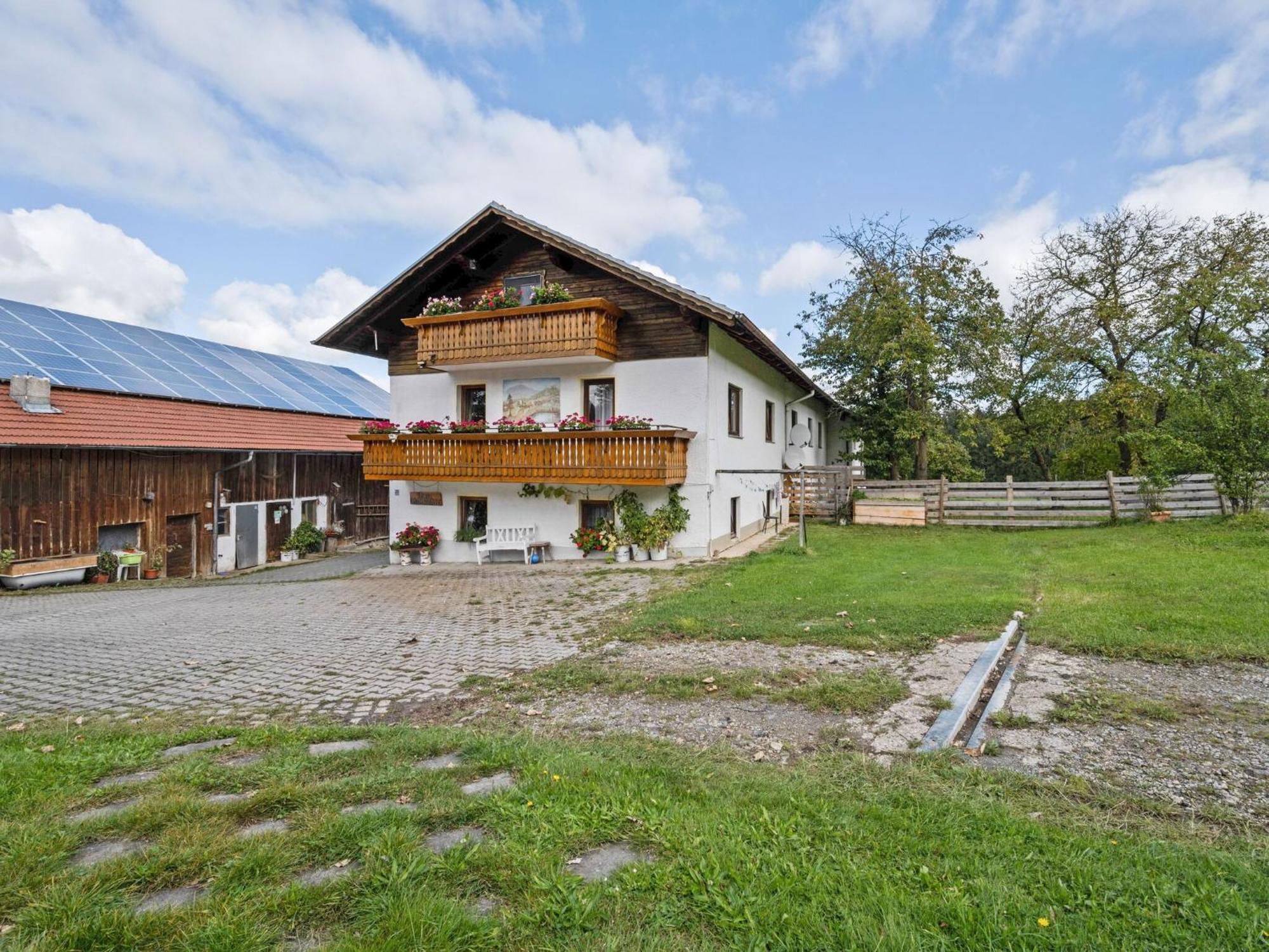 Flat On A Farm Near The Arber Ski Area 纽科琴贝海尔 外观 照片