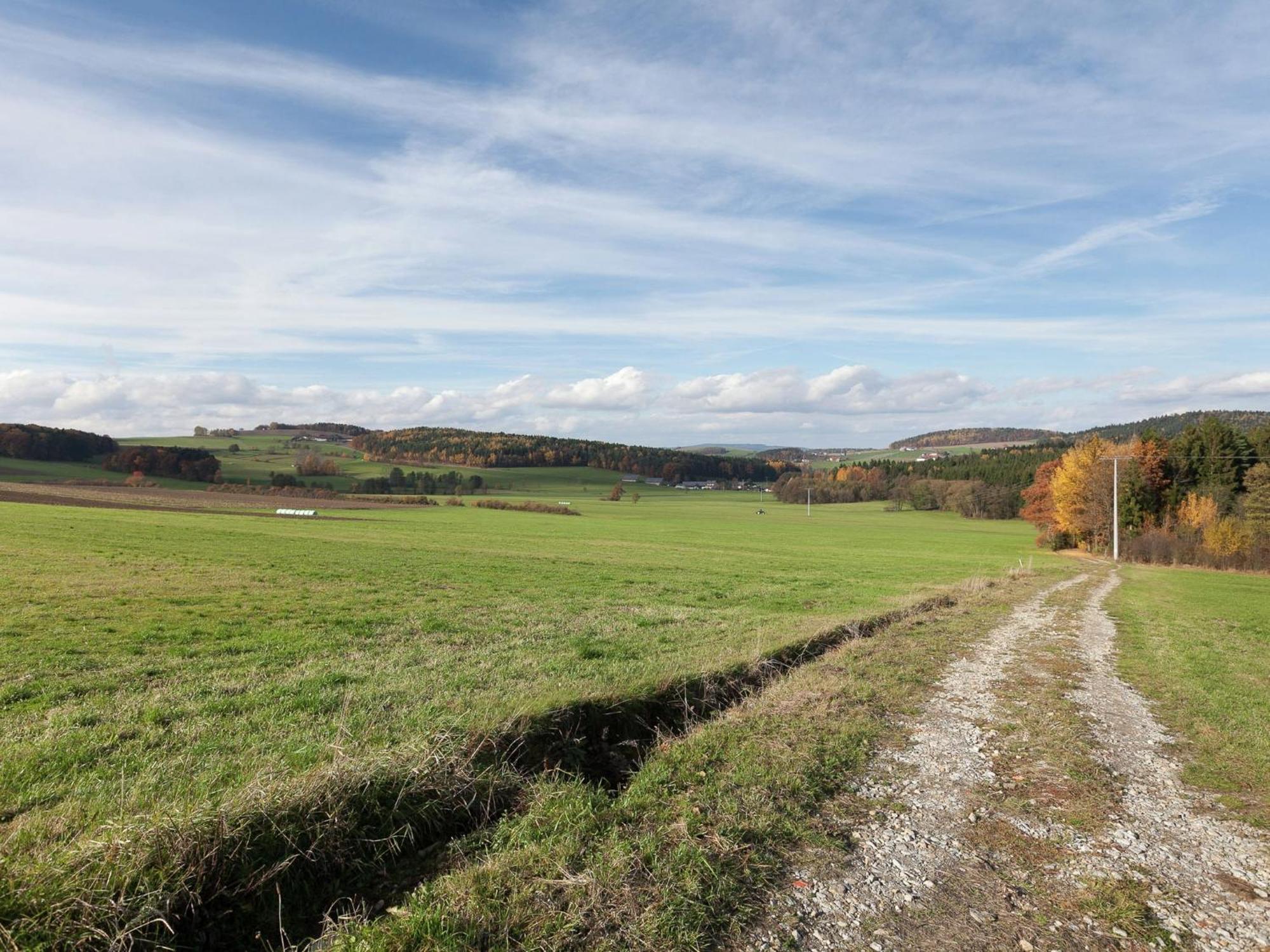 Flat On A Farm Near The Arber Ski Area 纽科琴贝海尔 外观 照片